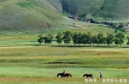 草原|一望无际的大草原上，为什么不长树看完解开多年疑惑