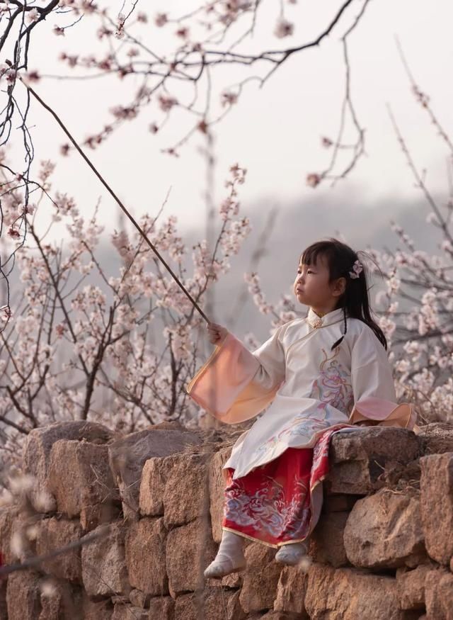 杏花|背靠五莲山！久负赏花盛名，今日一见确实惊叹