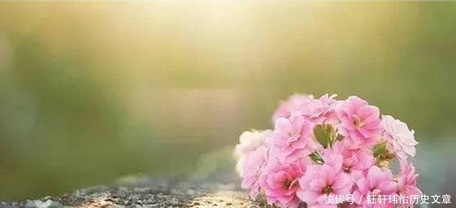 菜根|处世奇书《菜根谭》20句名言, 看到就是收获!