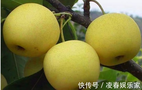 常吃|女性到了中年常吃的食物，排毒降火，降压减脂，清理体内垃圾