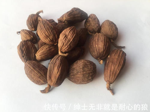 过年不管炖什么肉，只放4种调料就好，肉越炖越香，涨知识了