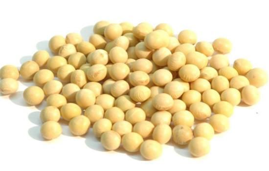大豆异黄酮|一颗大豆含7种降脂成分，这样吃最有营养