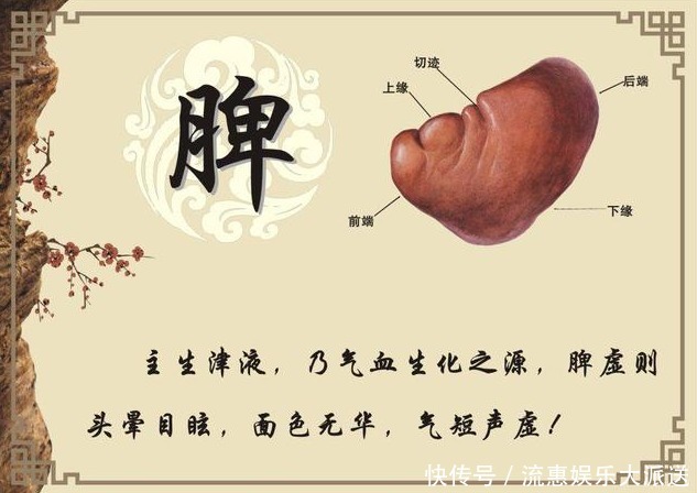 健脾“扛把子”找到了,不是山药,你若爱喝,脾胃会越来越“壮”
