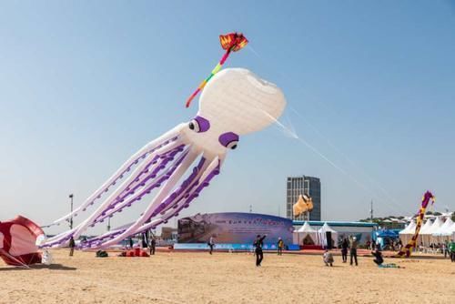 秋风|秋风起,城市沙滩“筝”奇斗艳,“金山杯”全国运动风筝锦标赛拉开帷幕