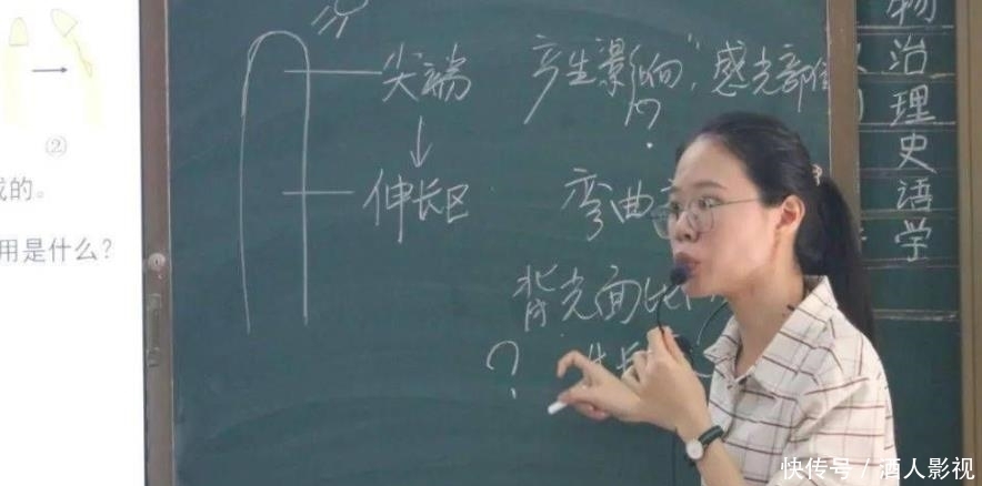 私立学校|“公办教师”VS“私立教师”选哪个？除薪资待遇外，这一点更重要