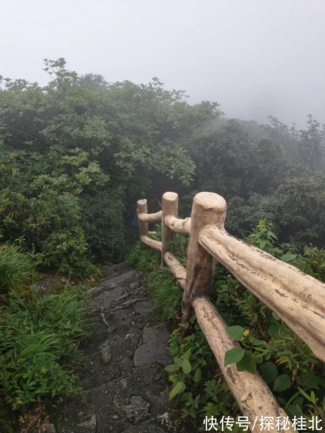 小路|从小道走近华南第一峰是另外一种享受