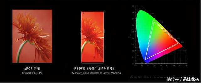 管理系统|OPPO发布全链路色彩管理系统，开启屏幕新赛道