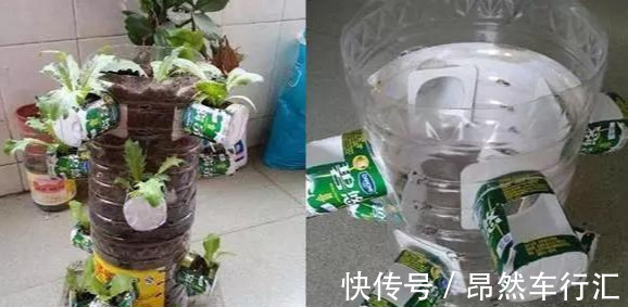 小菜园|养花技巧：一个油桶胜过两花盆，种菜养花好用又省钱！