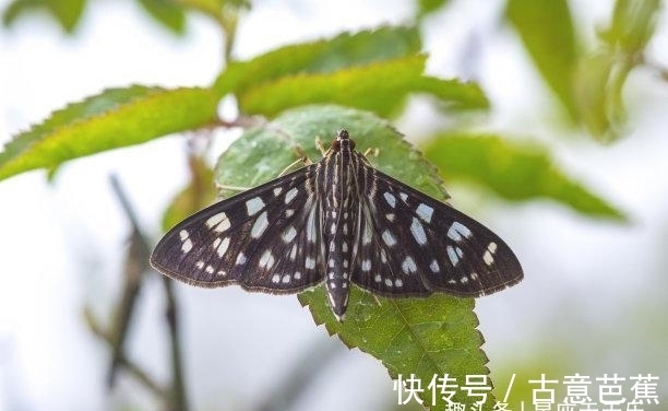 好运气|下旬之后，一见如故，不求回报，重逢旧人，你更值得，各自向前