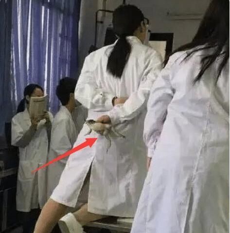 日常|学医的女生反差有多大？看到她们的日常，男生表示：后背有点发凉