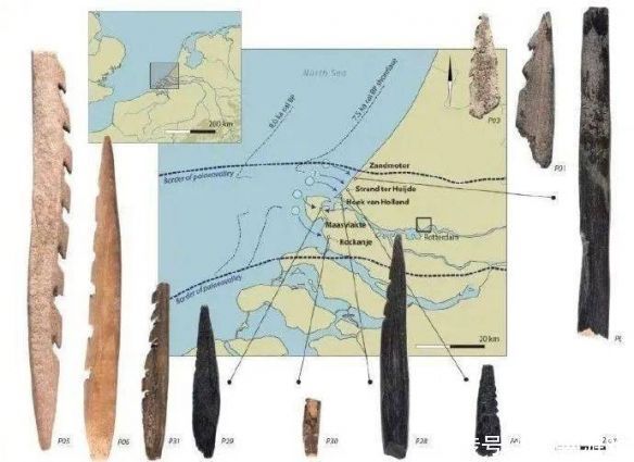 天线宝宝最矮也有1米83！奇奇怪怪的冷知识又增加了