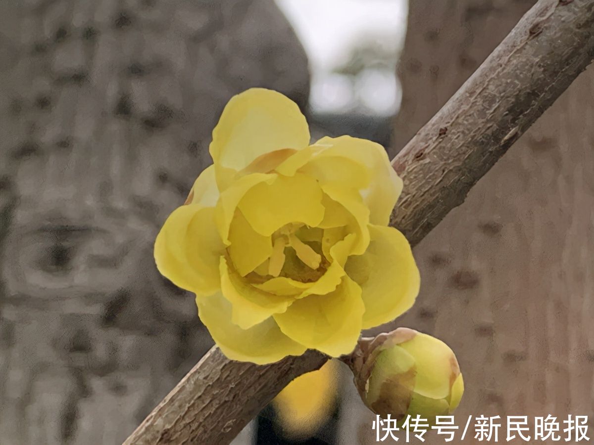 古来@晨读 | 更待今来出好词