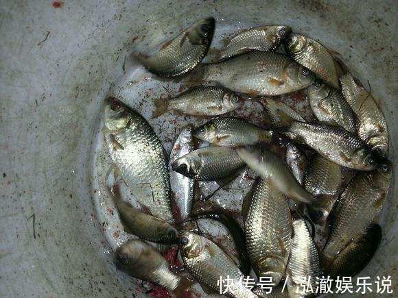 鲫鱼|6种蚯蚓穿鱼钩方法，图解蚯蚓挂钩法，爱钓鱼的你别错过！