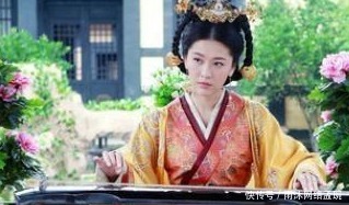 开国功臣|她是汉武帝的姐姐,一生有三段婚姻,其中有一段嫁给卫青