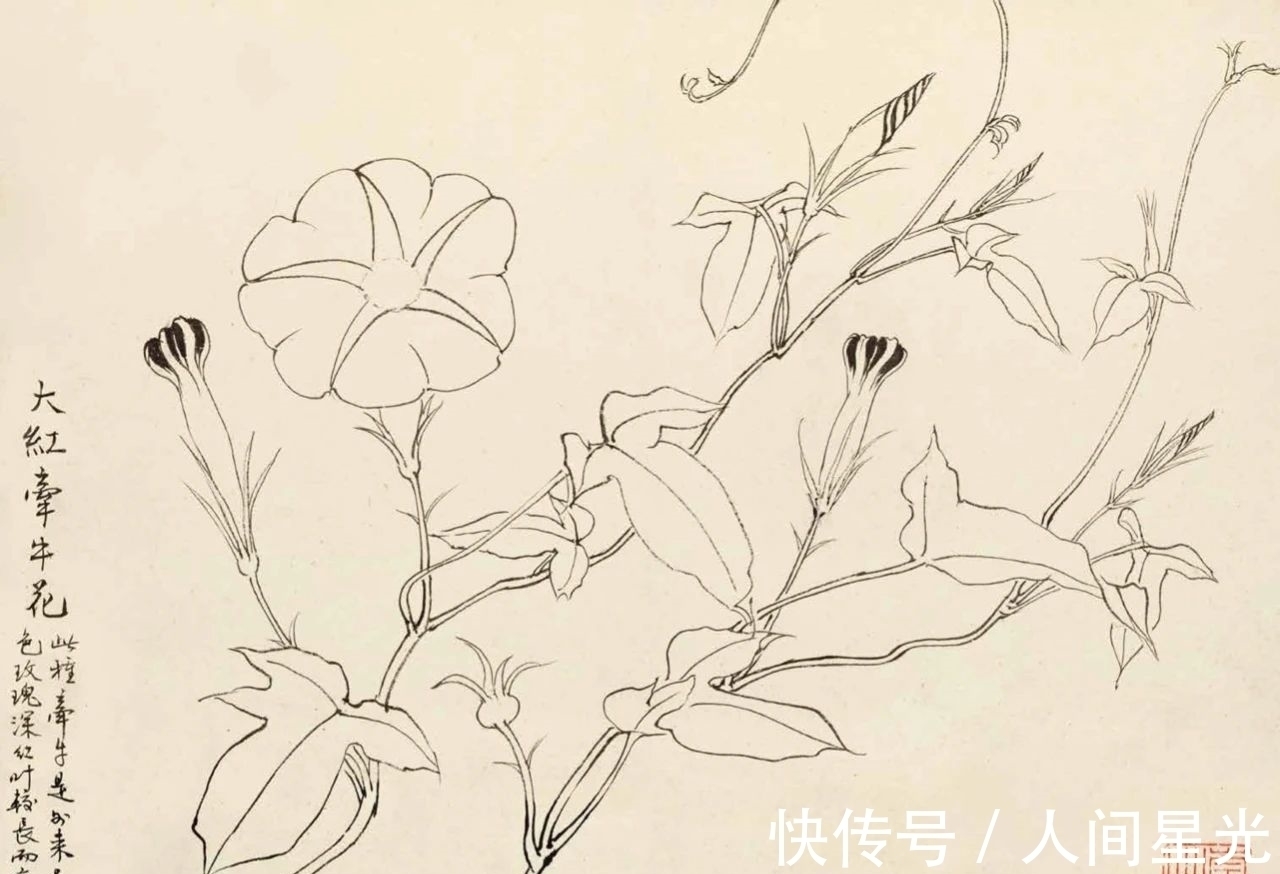 绘画作品$「津门网」陆抑非先生课堂上都给他的学生传授了什么样的秘籍?