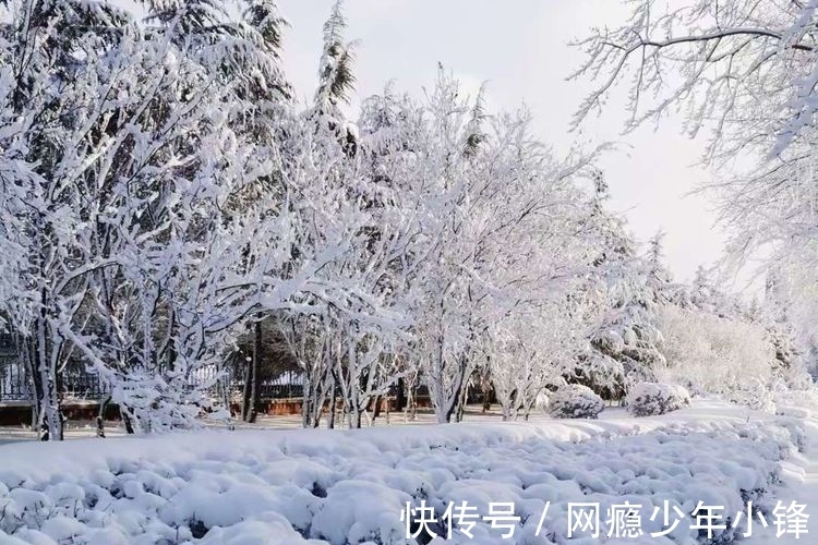 雪景$大雪节气迎瑞雪(三首)
