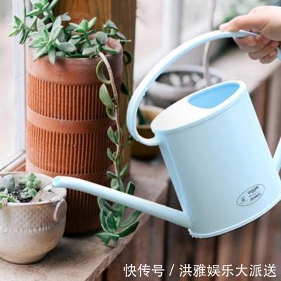 多肉植物|碰到这几种情况,多肉别浇水了!多浇一点就死翘翘