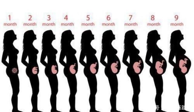 合适|孕期体重增长多少比较合适?三张表格让孕妈们心中有数