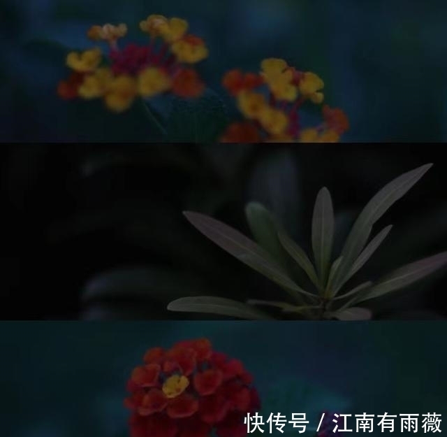 绕弯子|旧情泛滥，心动依旧，喜鹊携姻缘，旧爱回首，重修旧好