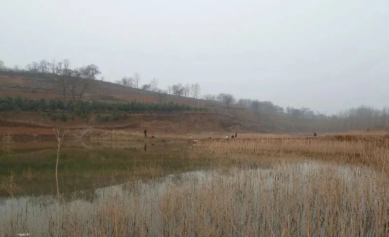 冬季钓鱼实战：傍晚鱼好钓，连杆上鱼就因为这三点