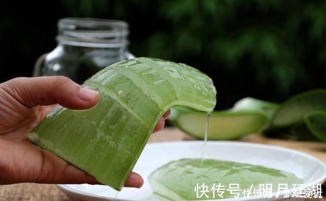 吊兰|卧室就养4种花，“养人”又养气，不是没有道理