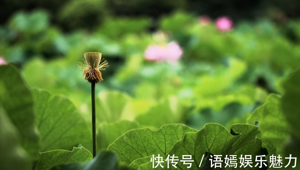 千金小姐!老祖宗识人术:“头小定飘蓬,脚长苦道中”,准不准?还受用吗?