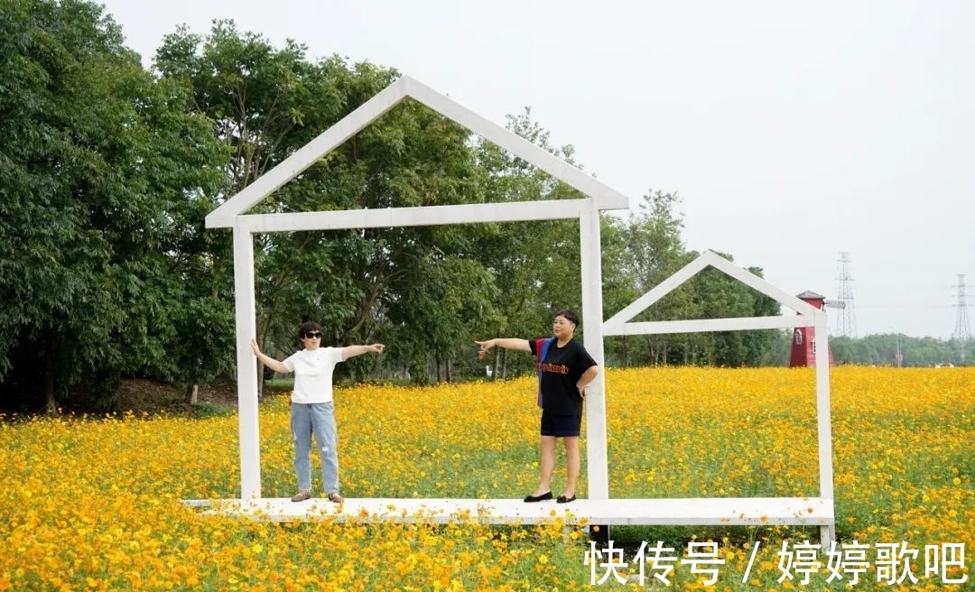 宁波城区|抓住机会！这可能是宁波城区今年的最后一片花海！