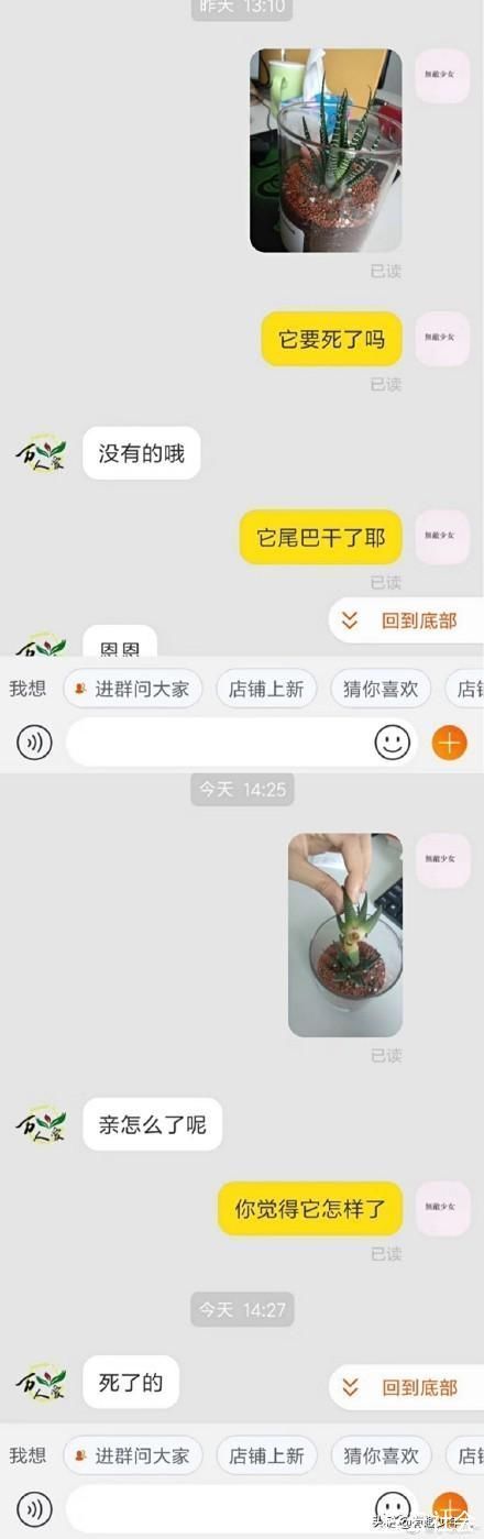 客服|网购时，你遇到过哪些沙雕客服或评论