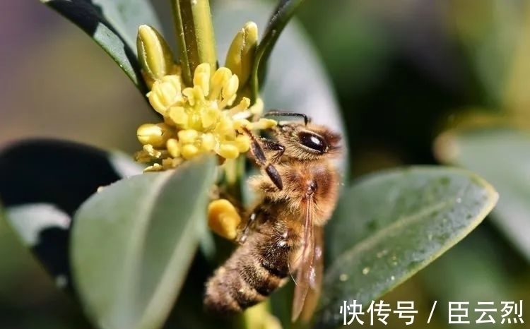 天喜星|近期内，姻缘星降临，注定收获甜蜜爱情，终于喜脱单的4大生肖