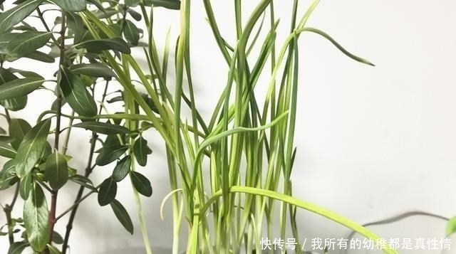 一人在家,煮碗面最省时间,10分钟出锅,又省事又好吃还热乎