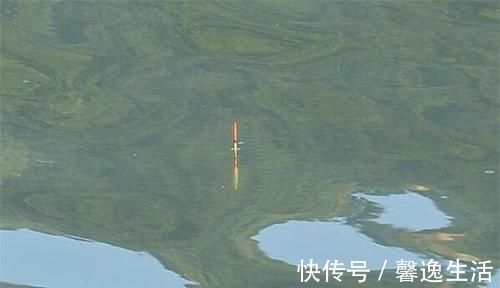 调漂|调漂技巧:使用空心软尾浮漂,调漂可以这样调,上鱼快,中鱼率高