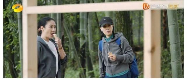 那英|录了5季《向往5》，第一个吐槽黄磊厨艺的嘉宾出现了，耿直不留情