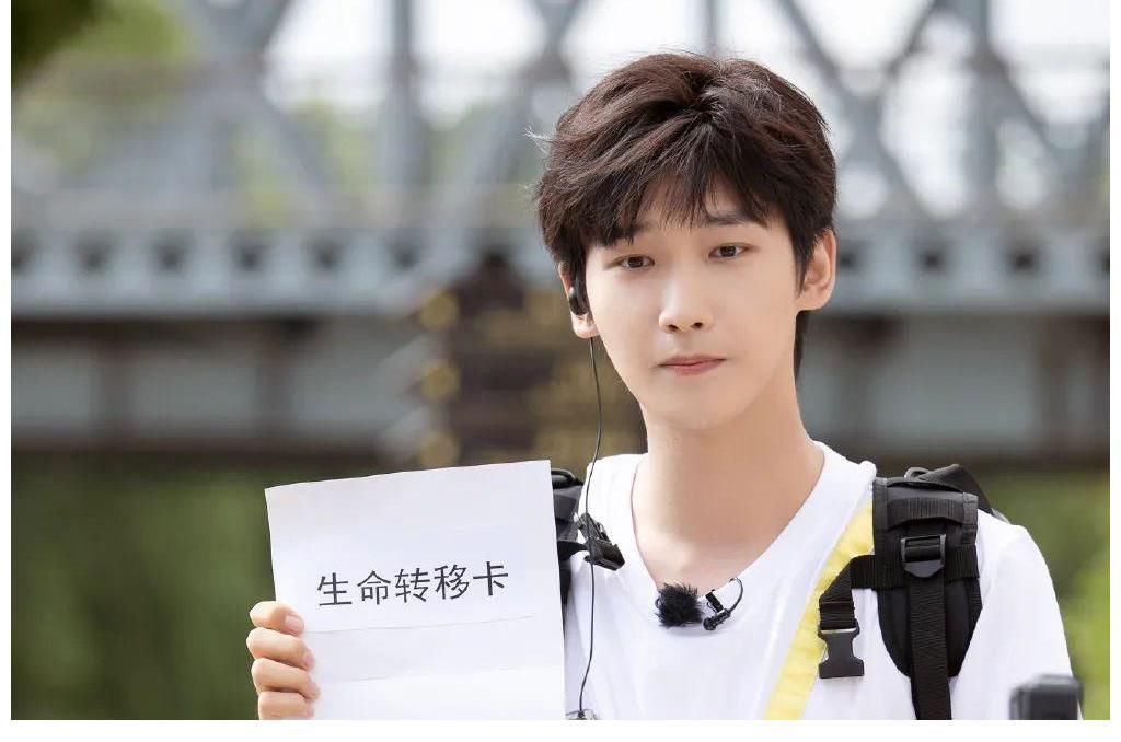 蔡国庆|《牛气满满的哥哥》：小哥队虽败犹荣，可算成长了