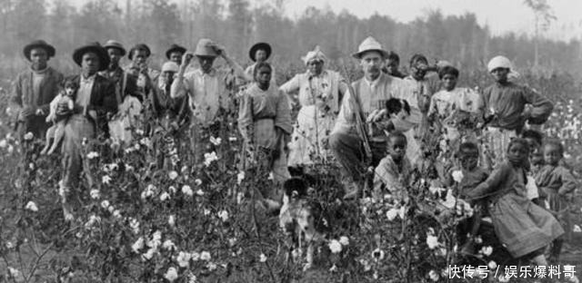 黑人奴隶|南北战争时期,为什么会有黑人为美利坚联盟国(南)打仗