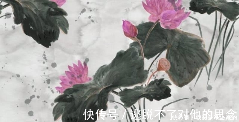 杨万里#杨万里最惊艳的一首小诗,通篇美得令人心醉,更是频频入选课本!