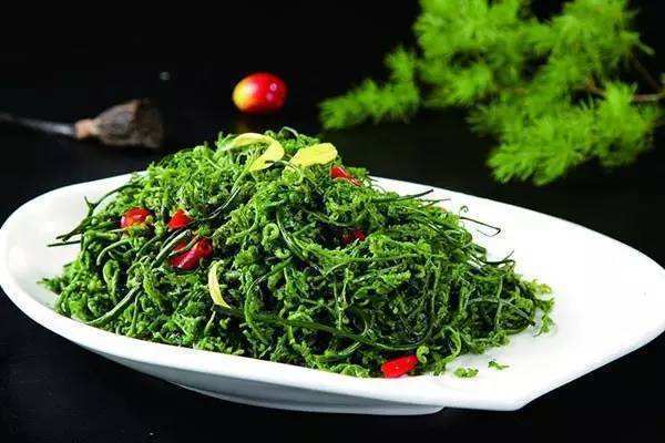 野菜|冬初以后多吃此种野菜，可以清热解毒，预防疾病，还可以瘦身美容