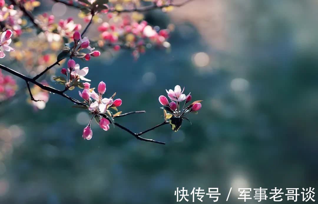 淑女!优雅,是一种岁月