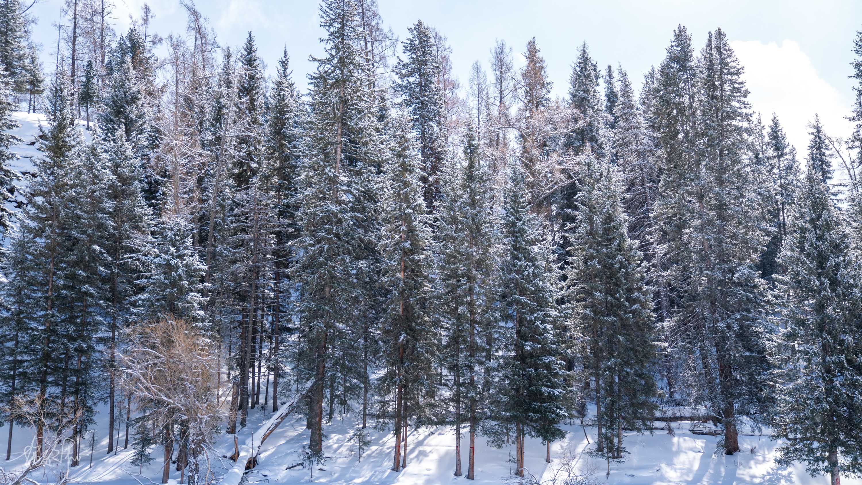 自驾新疆23天：北疆冰雪童话世界（上）