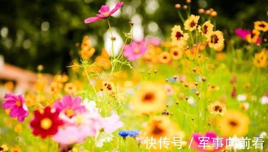 余生|2周后，桃花盛开，月老牵线，挚爱再现，幸福重启，余生幸福永远