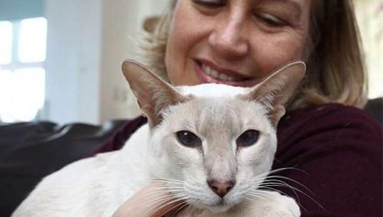 收到邮寄的宠物用品包裹打开发现一只萎靡