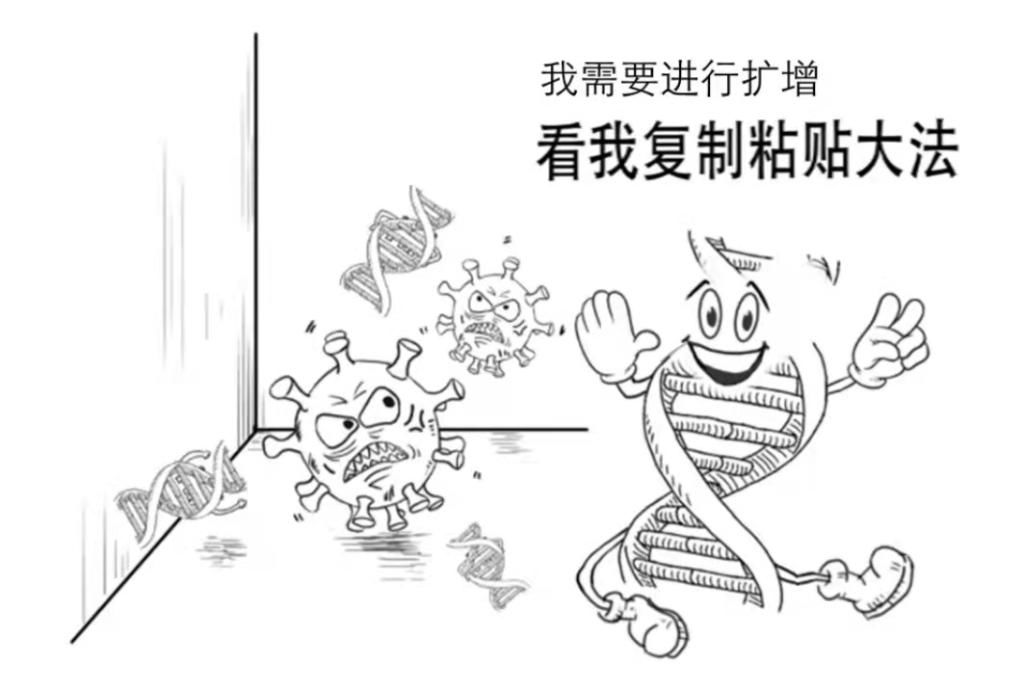 眼儿|一份核酸检测报告是怎样诞生的？漫画揭秘全过程——