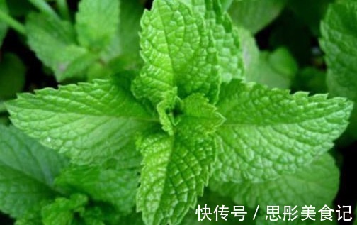 美白|农村不起眼的野菜，药用价值高，能祛斑美白，治疗通便，早看早知