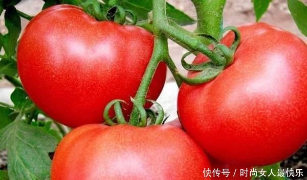 西红柿怎么保存长久家庭用上这3个办法,厨房西红柿新鲜又酸甜!