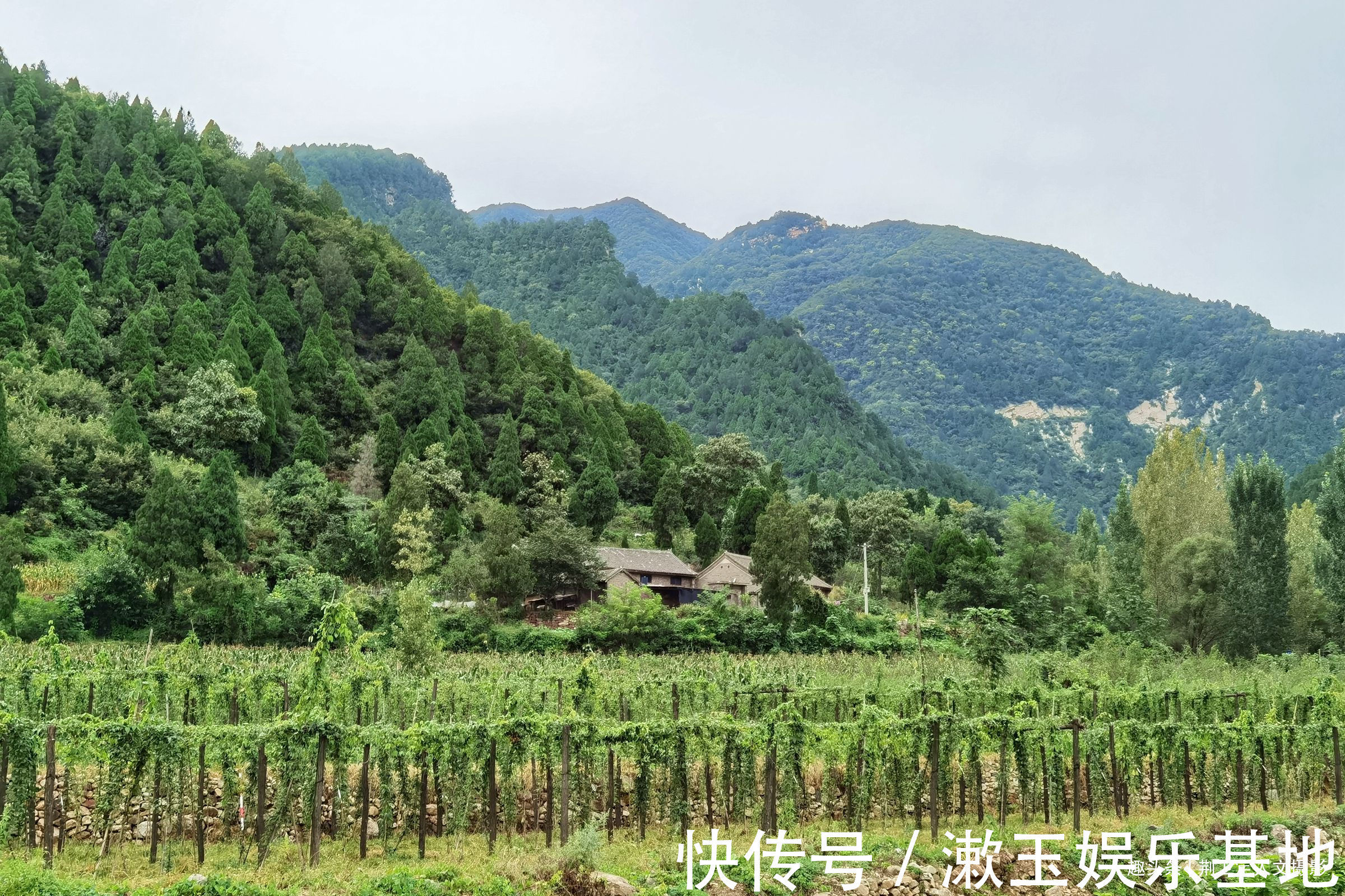 老伴|74岁老人留守深山，带退休金种6亩地靠山吃山，看生活是啥样