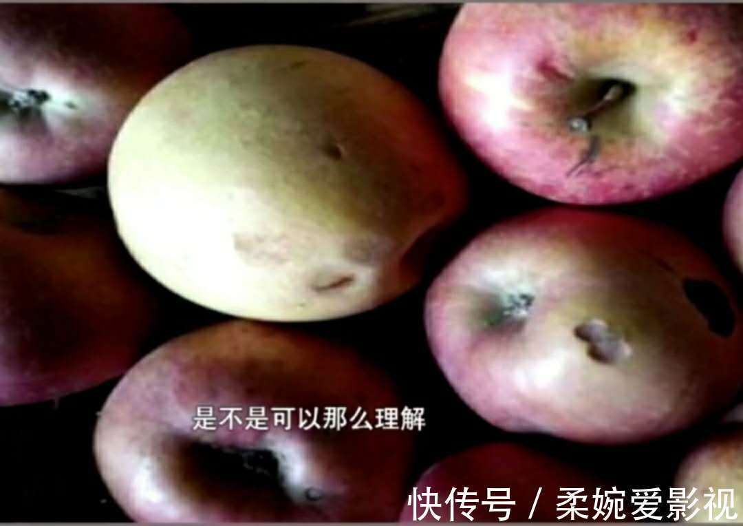 卖家|女子买生鲜水果连退8单被封号一张图片多家用网友：不封才怪