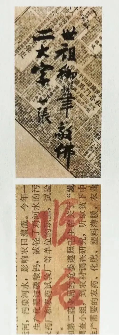 启功!难得一见!启功的信手涂鸦,竟如此惊艳,比成熟“启功体”还耐看