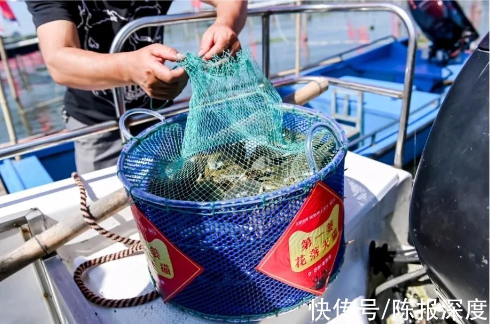 商家|天猫对平台商家蟹券资金进行专项托管 让消费者买得放心兑得安心