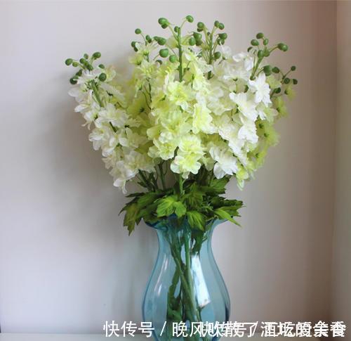 植物|家里万万不要养这几种花，好多人不听劝，难怪身体会越住越差