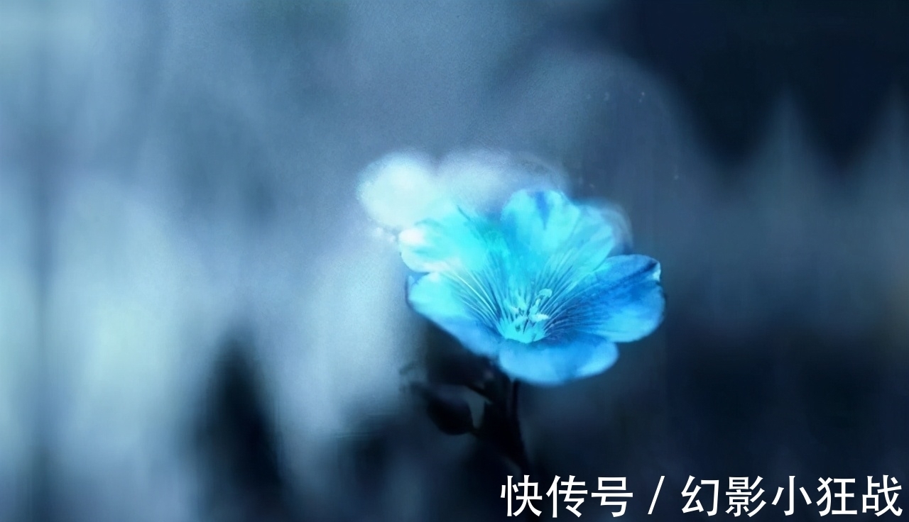 男人|男人爱一个女人到极致,通常会有几个生理反应,特别明显