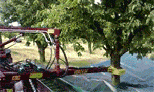 |搞笑GIF:第一次跳交谊舞 好像感觉被骗了